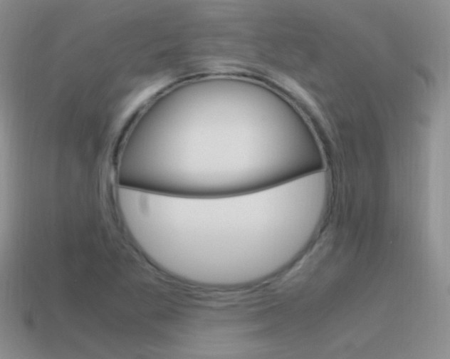 X0000115561269200911061140