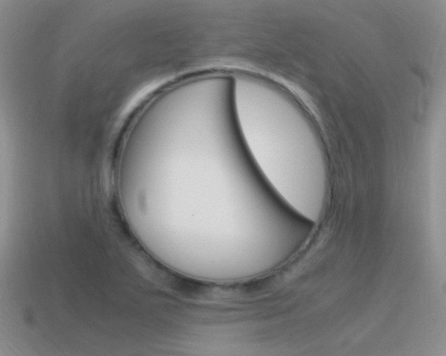 X0000115561271200911061140