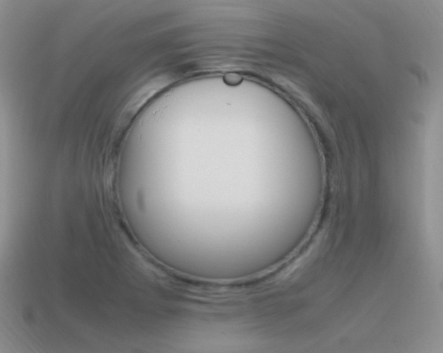 X0000115561273200911061140