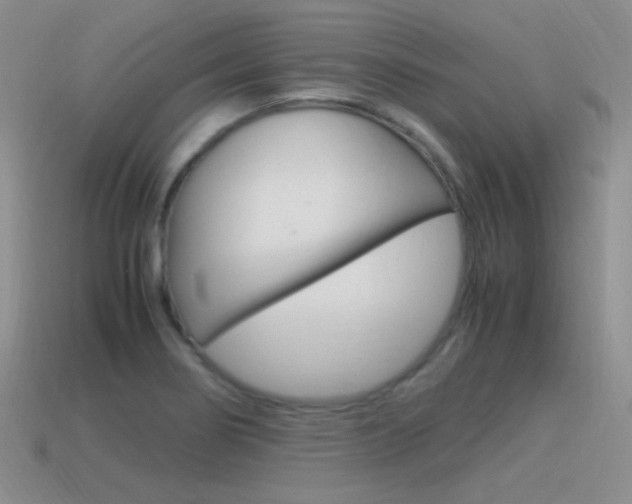 X0000115561274200911061140