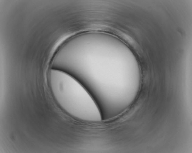 X0000115561275200911061140