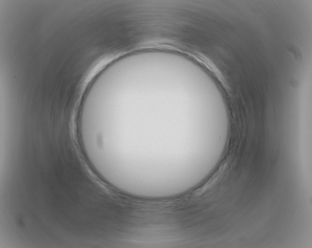 X0000115561277200911061140