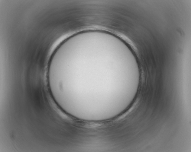 X0000115561278200911061140