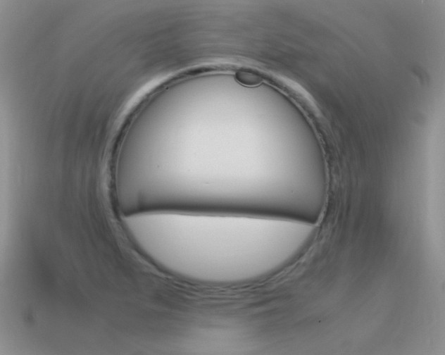 X0000115561279200911061140