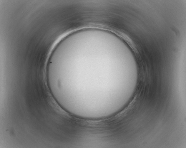 X0000115561280200911061140
