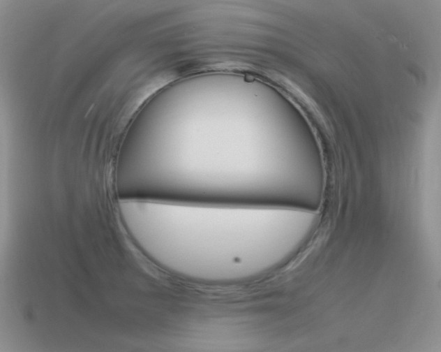 X0000115561281200911061140