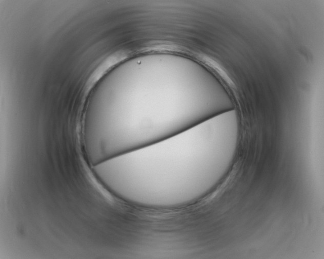 X0000115561282200911061140