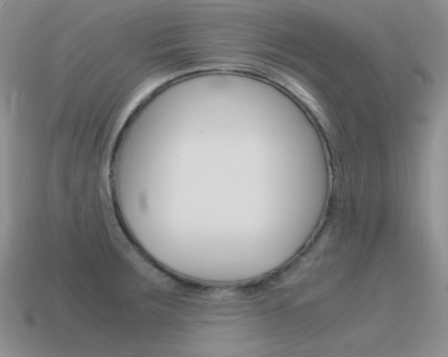 X0000115561283200911061140