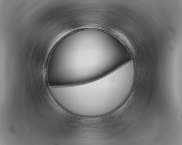 X0000115561284200911061140