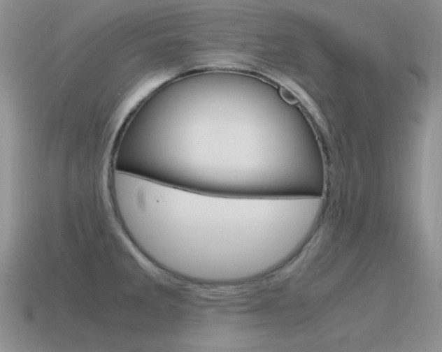 X0000115561285200911061140