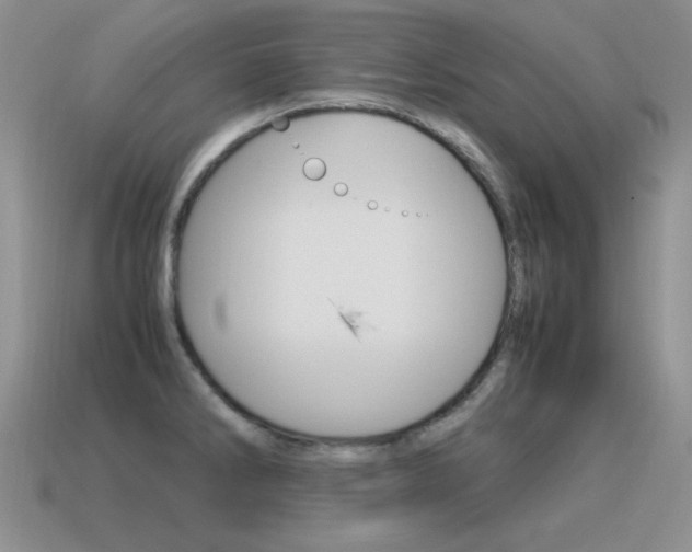 X0000115561286200911061140