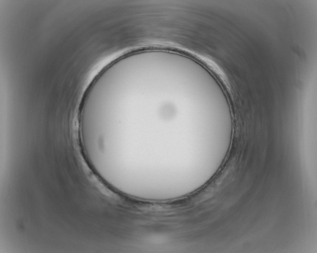 X0000115561287200911061140