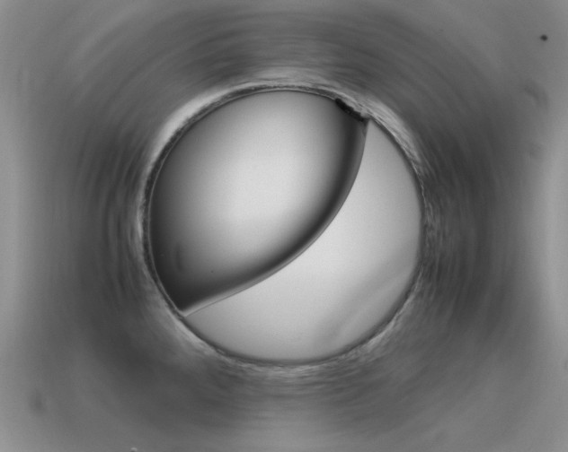 X0000115561288200911061140