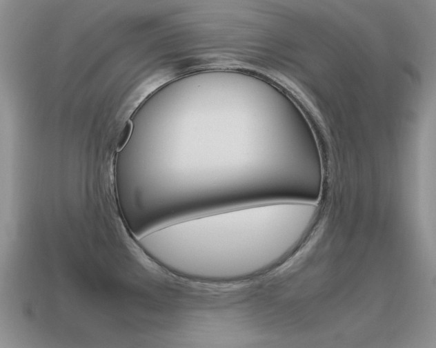 X0000115561289200911061140