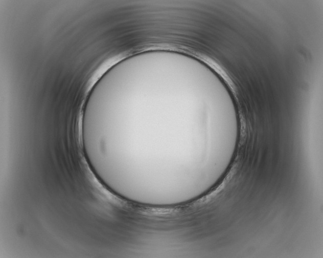 X0000115561290200911061140