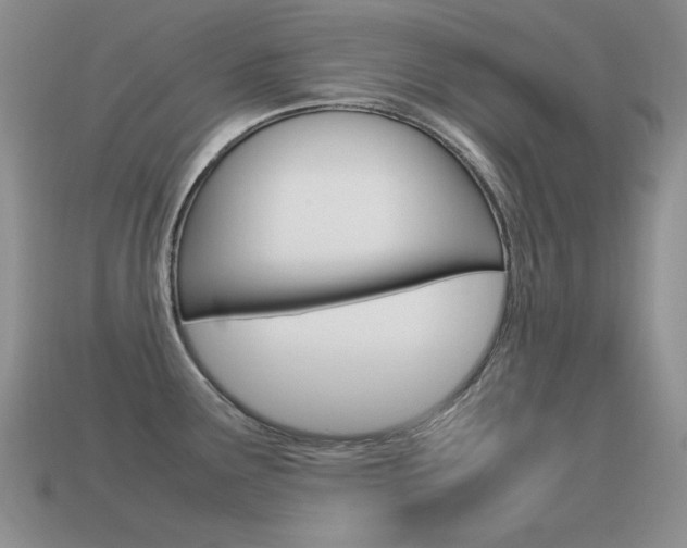 X0000115561291200911061140