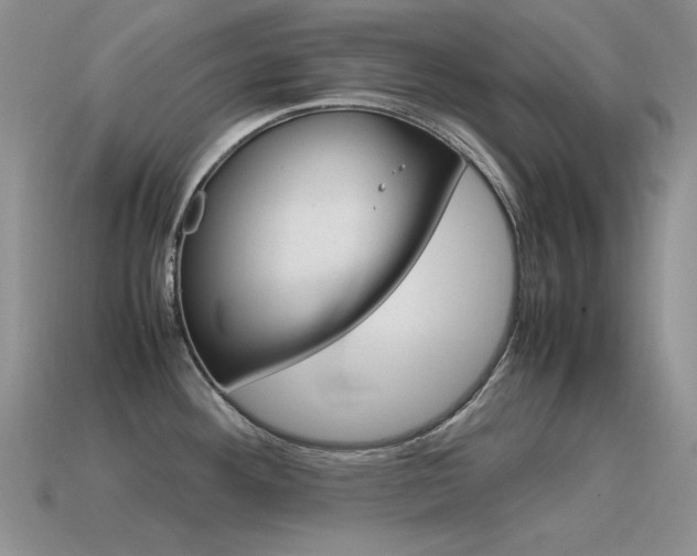 X0000115561292200911061140