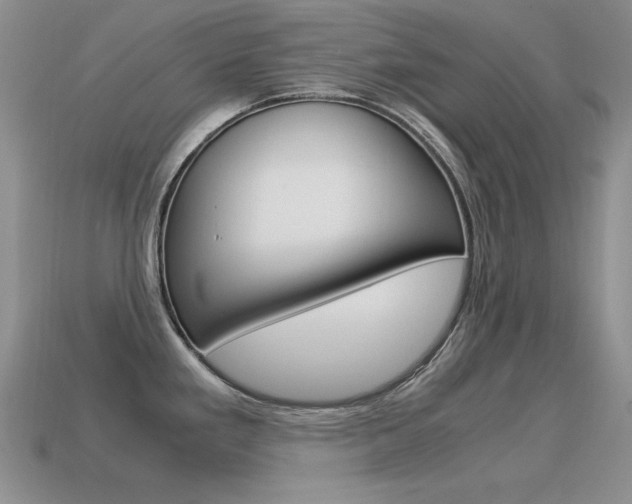 X0000115561293200911061140