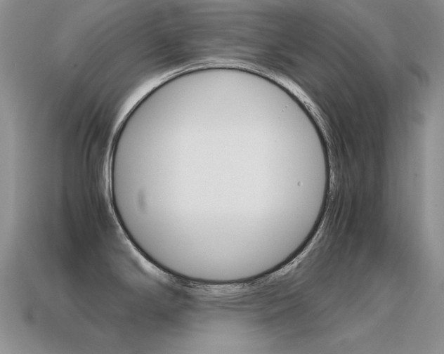 X0000115561294200911061140
