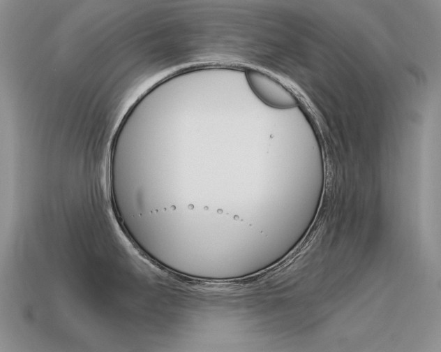 X0000115561295200911061140