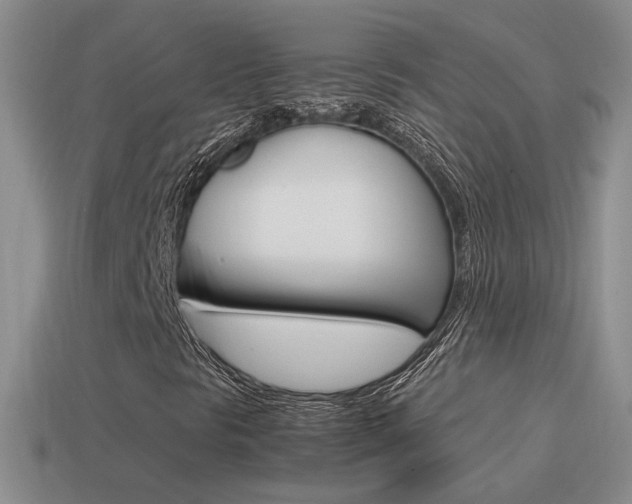 X0000115561297200911061139