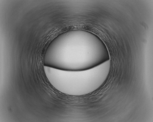 X0000115561298200911061139