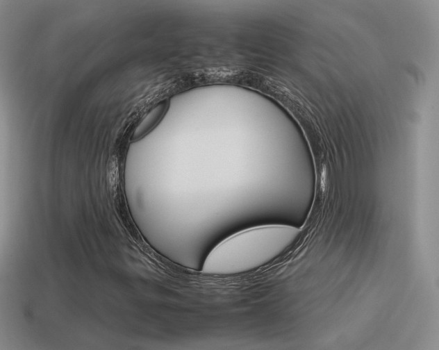 X0000115561299200911061139