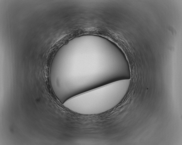 X0000115561301200911061139