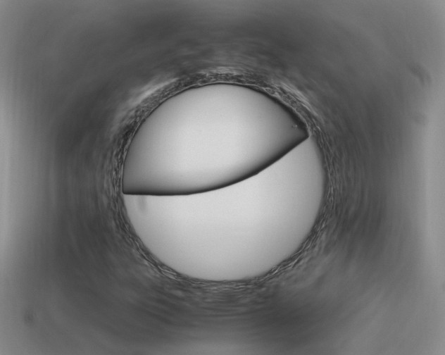 X0000115561303200911061139