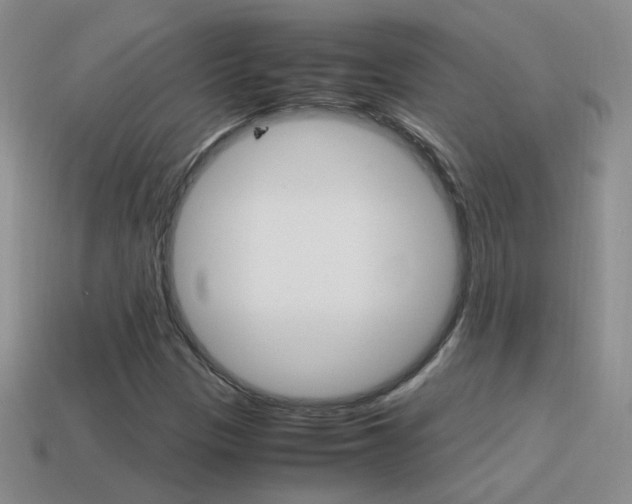 X0000115561305200911061139