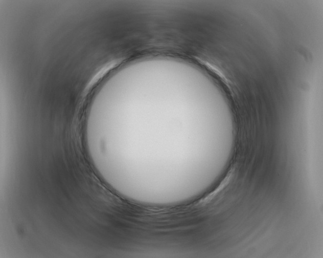 X0000115561309200911061139