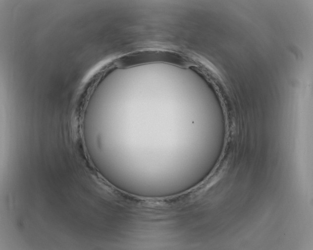 X0000115561310200911061139