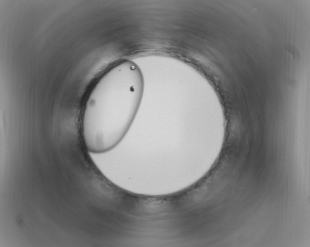 X0000115561314200911061139