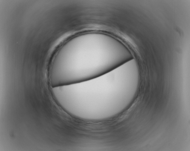 X0000115561318200911061139
