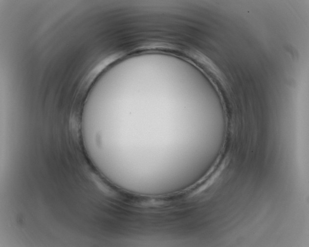 X0000115561321200911061139