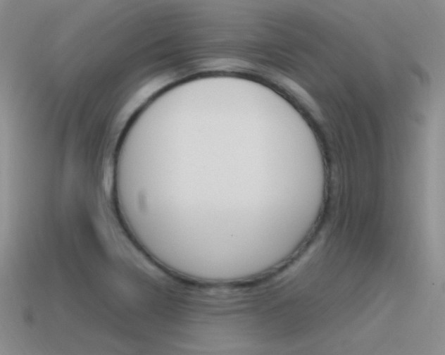 X0000115561322200911061139
