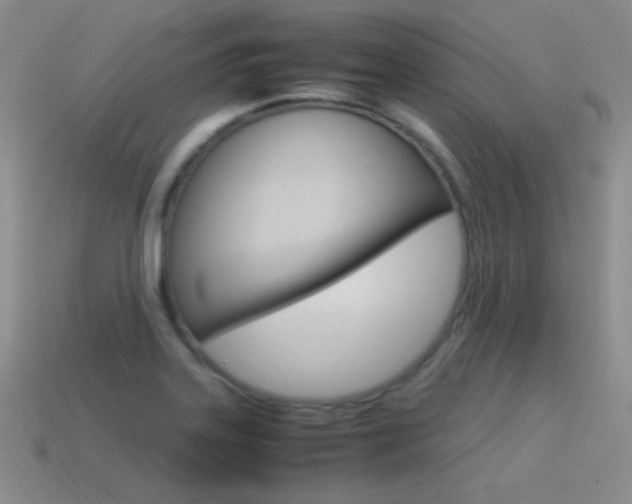 X0000115561323200911061139