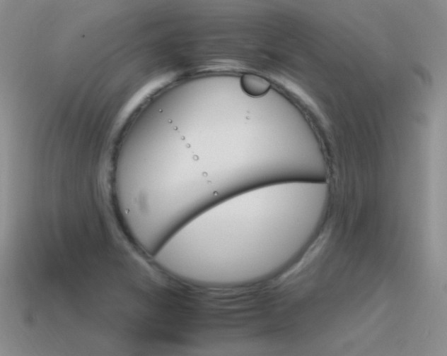X0000115561325200911061139