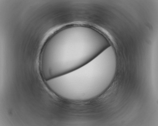 X0000115561327200911061139