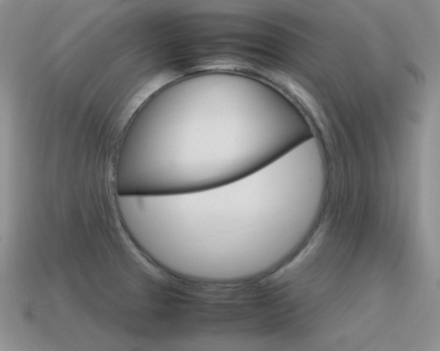 X0000115561329200911061139