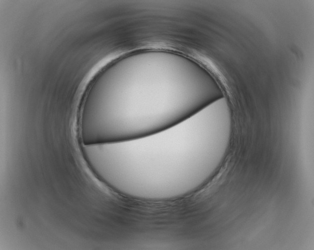 X0000115561331200911061139