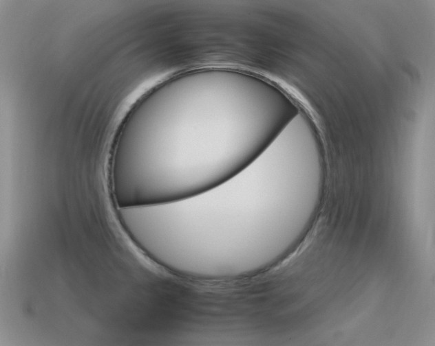 X0000115561333200911061139