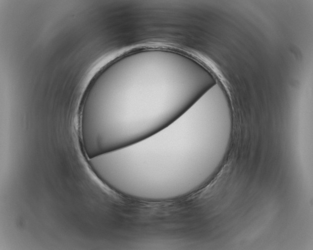X0000115561335200911061139