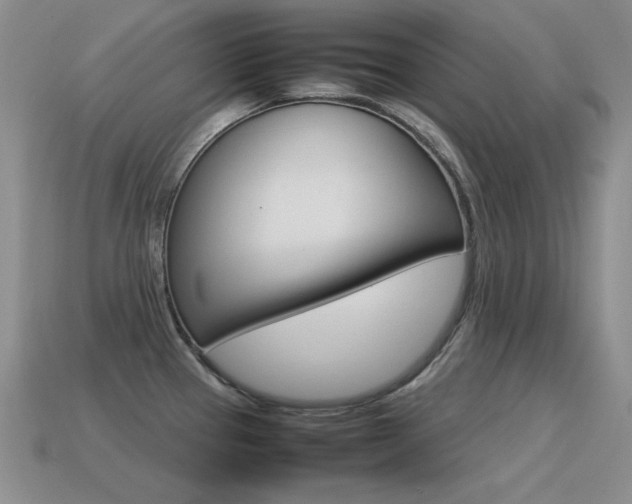 X0000115561337200911061139