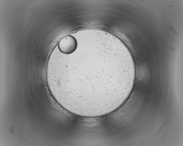 X0000115561338200911061139