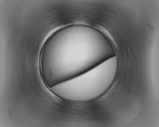 X0000115561339200911061139