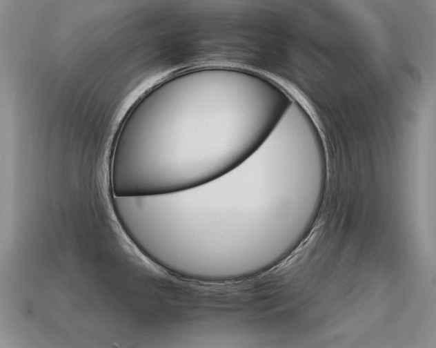 X0000115561341200911061139