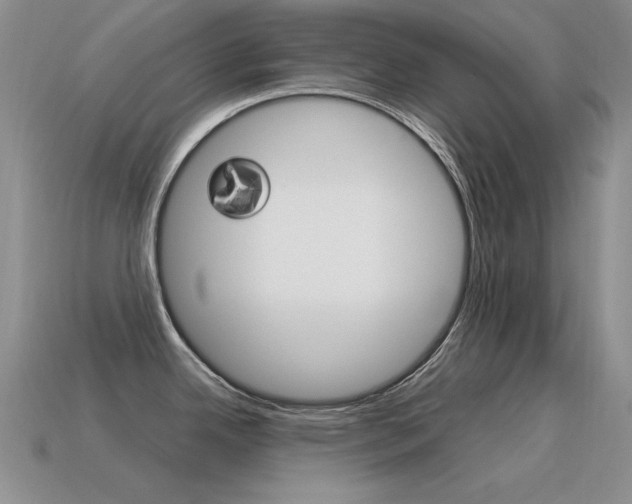 X0000115561342200911061139