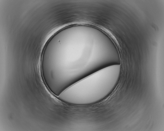 X0000115561343200911061139