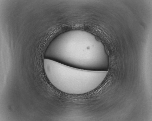X0000115561345200911061139